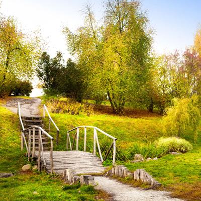 火狐电竞下载手机版